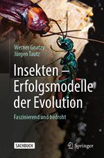 Insekten - Erfolgsmodelle der Evolution