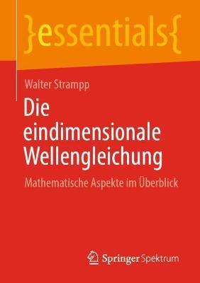 Die eindimensionale Wellengleichung: Mathematische Aspekte im Überblick - Walter Strampp - cover