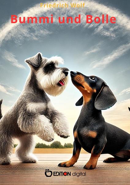 Bummi und Bolle - Wolf Friedrich - ebook
