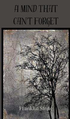 A Mind That Can't Forget - Franklin Stone - cover