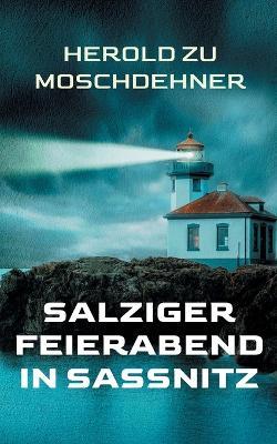Salziger Feierabend in Sassnitz: Ein Fischerleben im Jahre 1930 - Herold Zu Moschdehner - cover