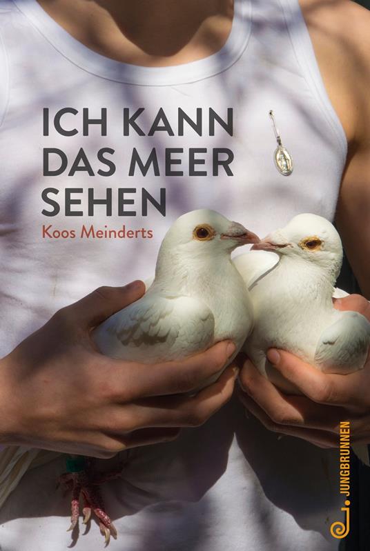 Ich kann das Meer sehen - Koos Meinderts - ebook