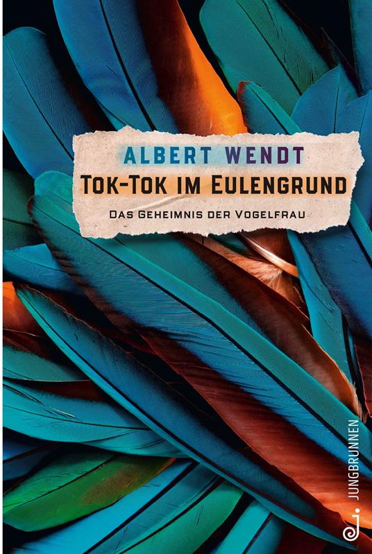 Tok-Tok im Eulengrund - Albert Wendt - ebook