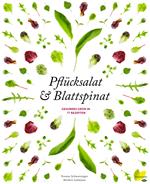 Pflücksalat & Blattspinat