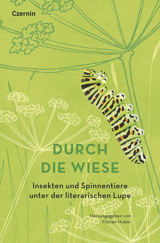 Durch die Wiese - Florian Huber - ebook