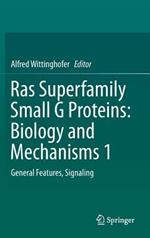Ras Superfamily Small G Proteins: Biology and Mechanisms 1: General Features, Signaling