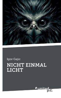 Nicht Einmal Licht - Igor Gajic - cover