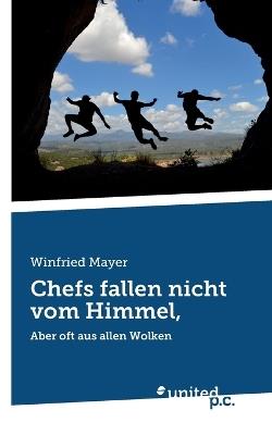 Chefs fallen nicht vom Himmel,: Aber oft aus allen Wolken - Winfried Mayer - cover