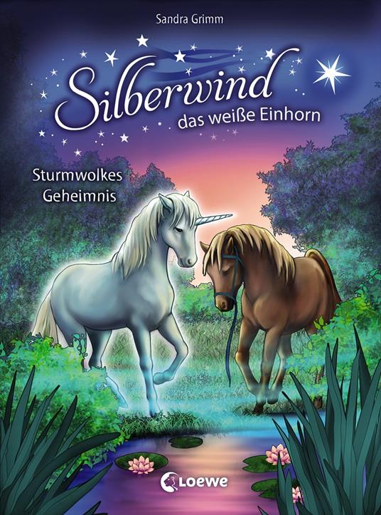 Silberwind, das weiße Einhorn (Band 4) - Sturmwolkes Geheimnis - Sandra Grimm,Silvia Christoph - ebook