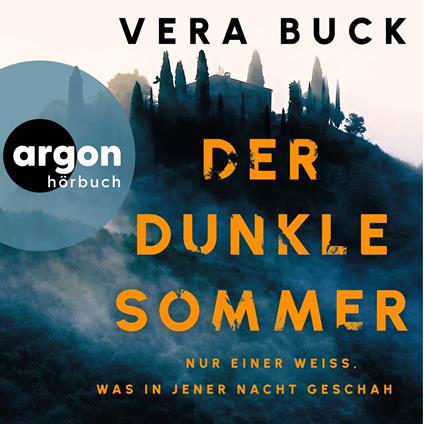 Der dunkle Sommer - Nur einer weiß, was in jener Nacht geschah (Ungekürzte Lesung)