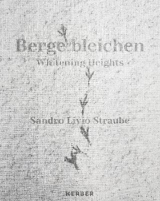 Whitening Heights: Sandro Livio Straube - cover
