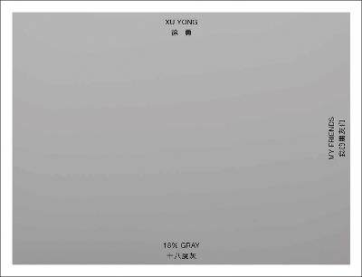 Xu Yong: 18% GRAY / MY FRIENDS - cover