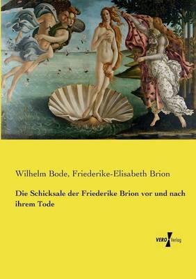 Die Schicksale der Friederike Brion vor und nach ihrem Tode - Wilhelm Bode,Friederike-Elisabeth Brion - cover