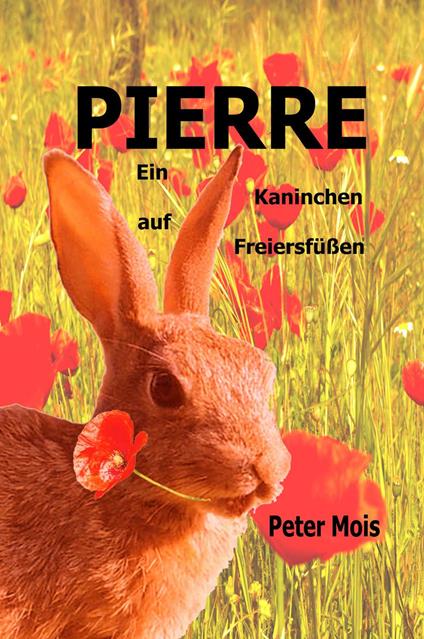 P I E R R E - Peter Mois - ebook