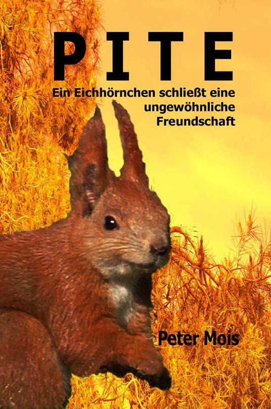 P I T E - Peter Mois - ebook