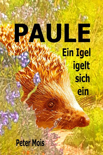 P A U L E - Peter Mois - ebook