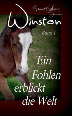Winston - Ein Fohlen erblickt die Welt: Pferdebuchserie in drei Bänden - Antonia Katharina Tessnow - cover