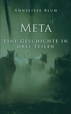 Meta: Eine Geschichte in drei Teilen - Anneliese Blum - cover