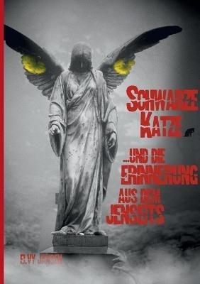 Schwarze Katze...und die Erinnerung aus dem Jenseits - Elvy Jansen - cover