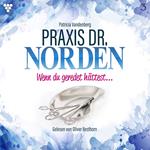 Praxis Dr. Norden 3 - Arztroman