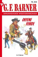 Offene Fehde