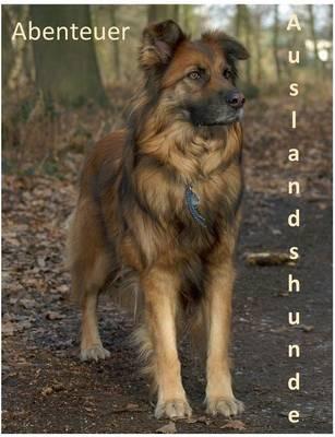 Abenteuer Auslandshunde - Daniela Tschepe - cover