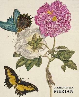 Maria Sibylla Merian - Daniel Kiecol - cover