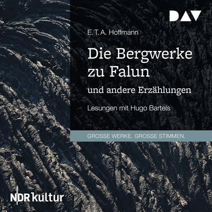 Die Bergwerke zu Falun und andere Erzählungen (Gekürzt)
