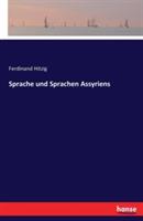 Sprache und Sprachen Assyriens - Ferdinand Hitzig - cover