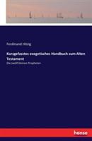 Kurzgefasstes exegetisches Handbuch zum Alten Testament: Die zwölf kleinen Propheten