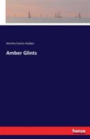 Amber Glints - Martha Everts Holden - cover