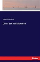 Unter den Penchünchen - Friedrich Gerstäcker - cover