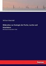 Bilderatlas zur Zoologie der Fische, Lurche und Kriechtiere: Mit beschreibendem Text