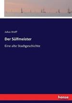 Der Sülfmeister: Eine alte Stadtgeschichte