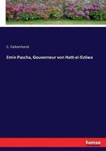 Emin Pascha, Gouverneur von Hatt-el-Estiwa