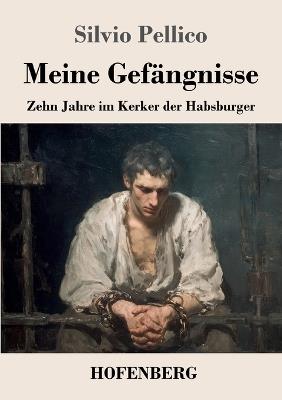 Meine Gefängnisse: Zehn Jahre im Kerker der Habsburger - Silvio Pellico - cover