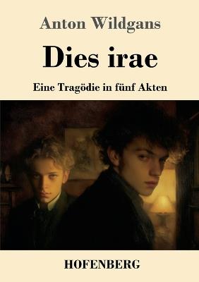 Dies irae: Eine Tragödie in fünf Akten - Anton Wildgans - cover