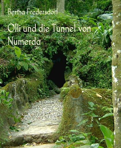 Olli und die Tunnel von Numerda - Bertha Fredersdorf - ebook