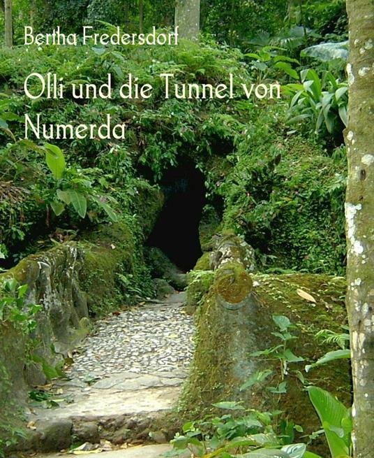 Olli und die Tunnel von Numerda - Bertha Fredersdorf - ebook