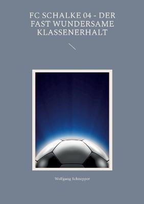 FC Schalke 04 - Der fast wundersame Klassenerhalt - Wolfgang Schnepper - cover