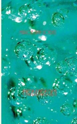 Farbenregen - Marion Jana Goeritz - cover