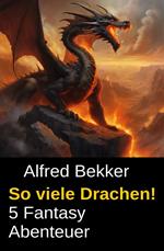 So viele Drachen! 5 Fantasy Abenteuer