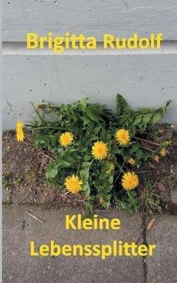 Kleine Lebenssplitter - Brigitta Rudolf - cover