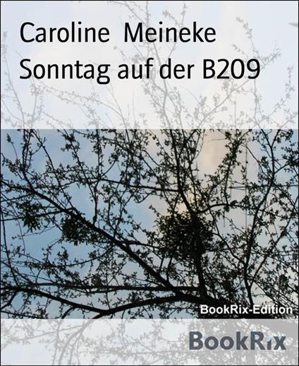 Sonntag auf der B209 - Caroline Meineke - ebook