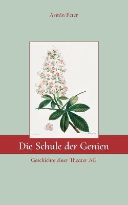 Die Schule der Genien: Geschichte einer Theater AG - Armin Peter - cover