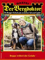 Der Bergdoktor 2067