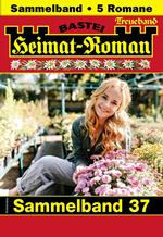 Heimat-Roman Treueband 37