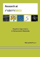 Negative Capacitance in Ferroelectric Materials - Michael Hoffmann - cover