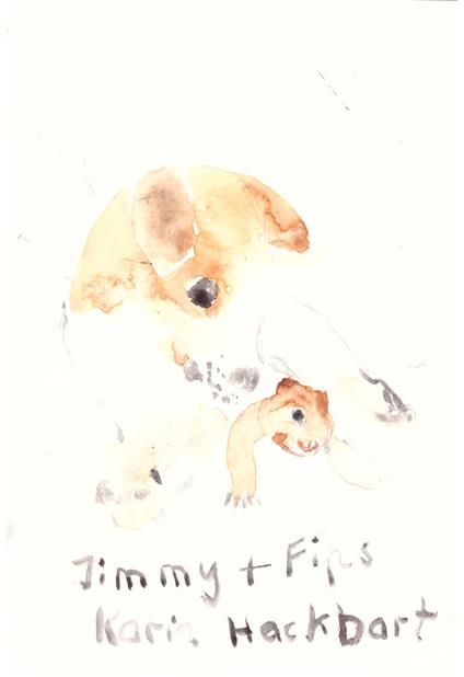 Jimmy und Fips - Karin Hackbart - ebook