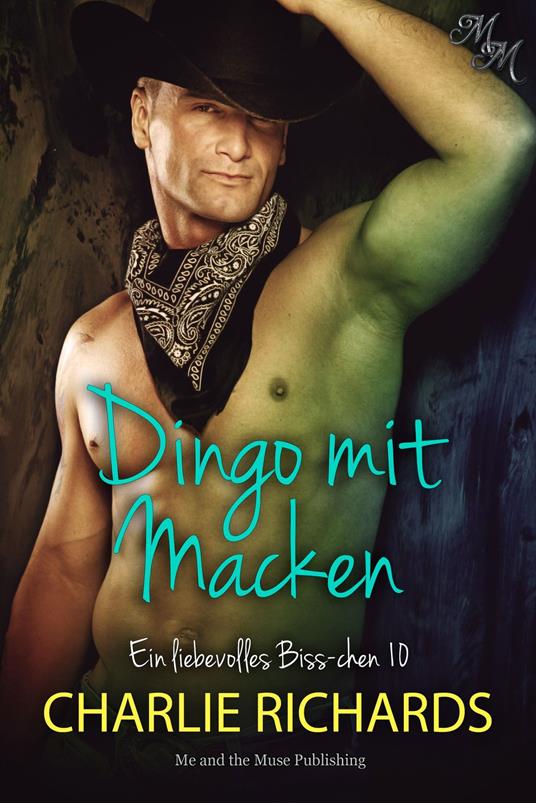 Dingo mit Macken